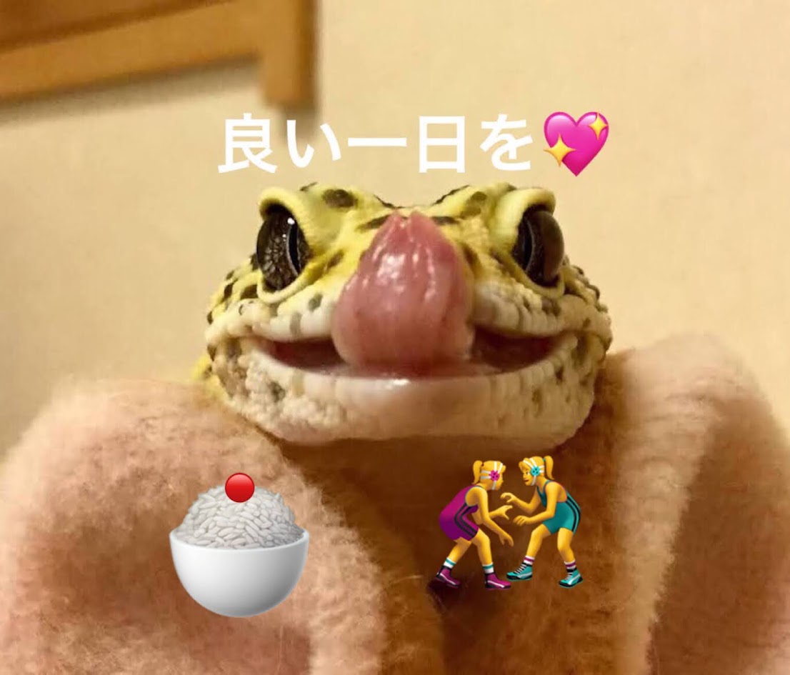 toskalt8513's tweet photo. おはようございます😀
今日も元気に宜しくお願いします🍀
7月30日は？#サワーの日 🥩で食べて7難が去3る0 #梅干の日 🔴力道山らが中心に協会結成 #プロレス記念日 🤼‍♀️ 
後楽園ホールでウメッシュ飲みながらプロレス大会だね😁
https://t.co/vKHuMCzQu1 https://t.co/LPCD8CooY5