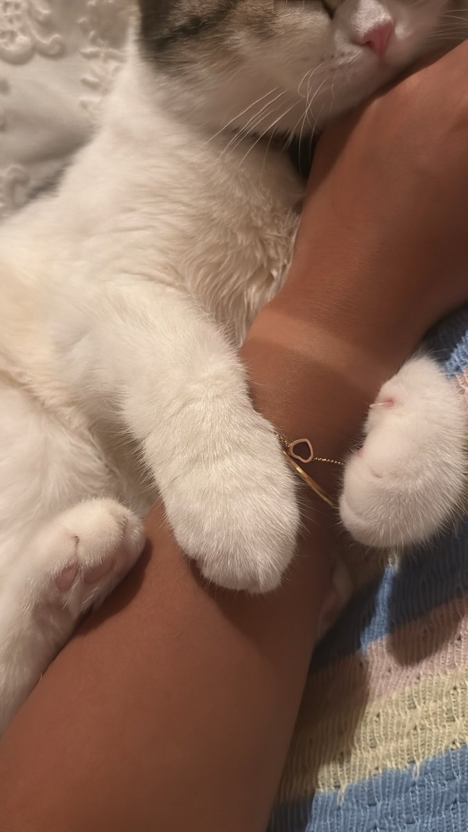 SAGHi_62's tweet photo. In case you haven’t seen the cutest sleeping position 😢❤️ https://t.co/Tp7tOtuynG