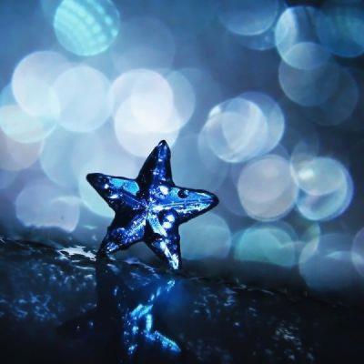 bryce_pierre's tweet photo. I talk to my pets more than humans and my communication skills have never been better. 🎁 🌂 https://t.co/Qodb0lUQsI