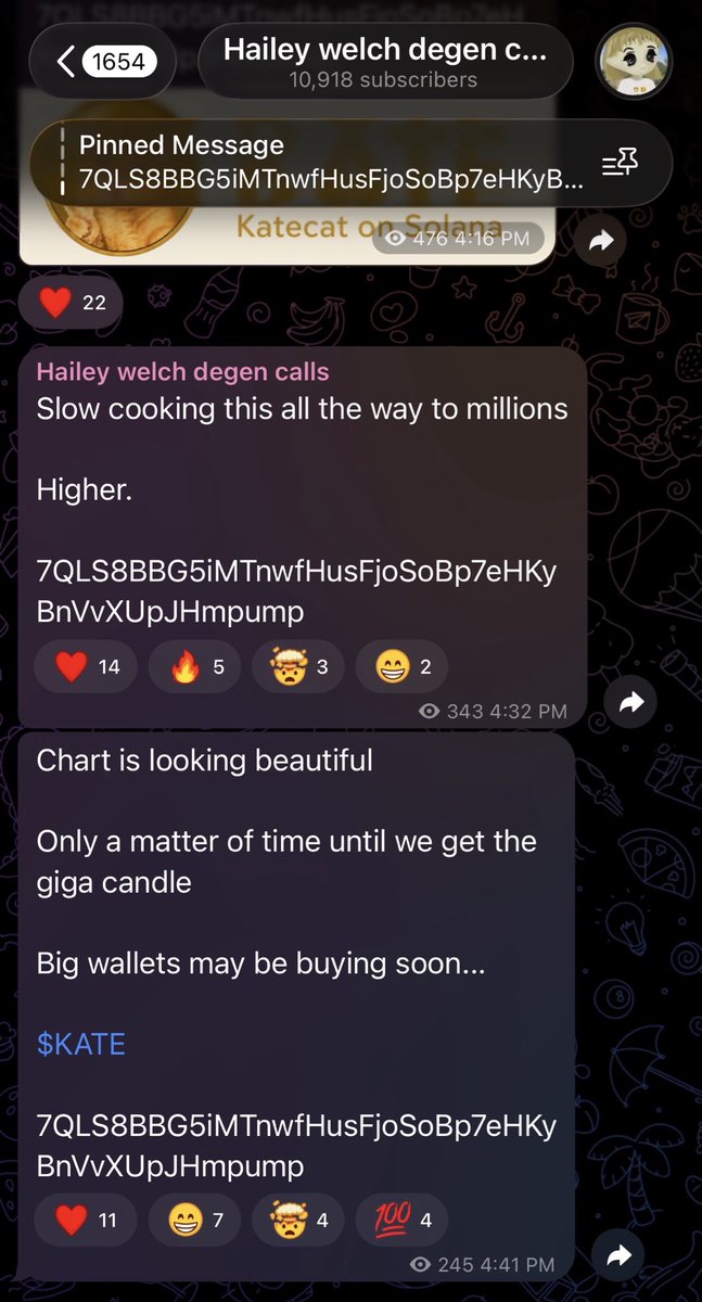 crypto_mortar_'s tweet photo. These KOL’s are all the same. Greedy, thieving scammers. 

When they say “giga candle incoming”, they mean the final extraction is on the way. 

RIP $KATECAT and the couple thousand bucks this scammer made off it 🤡 https://t.co/xGKt9feZ6h