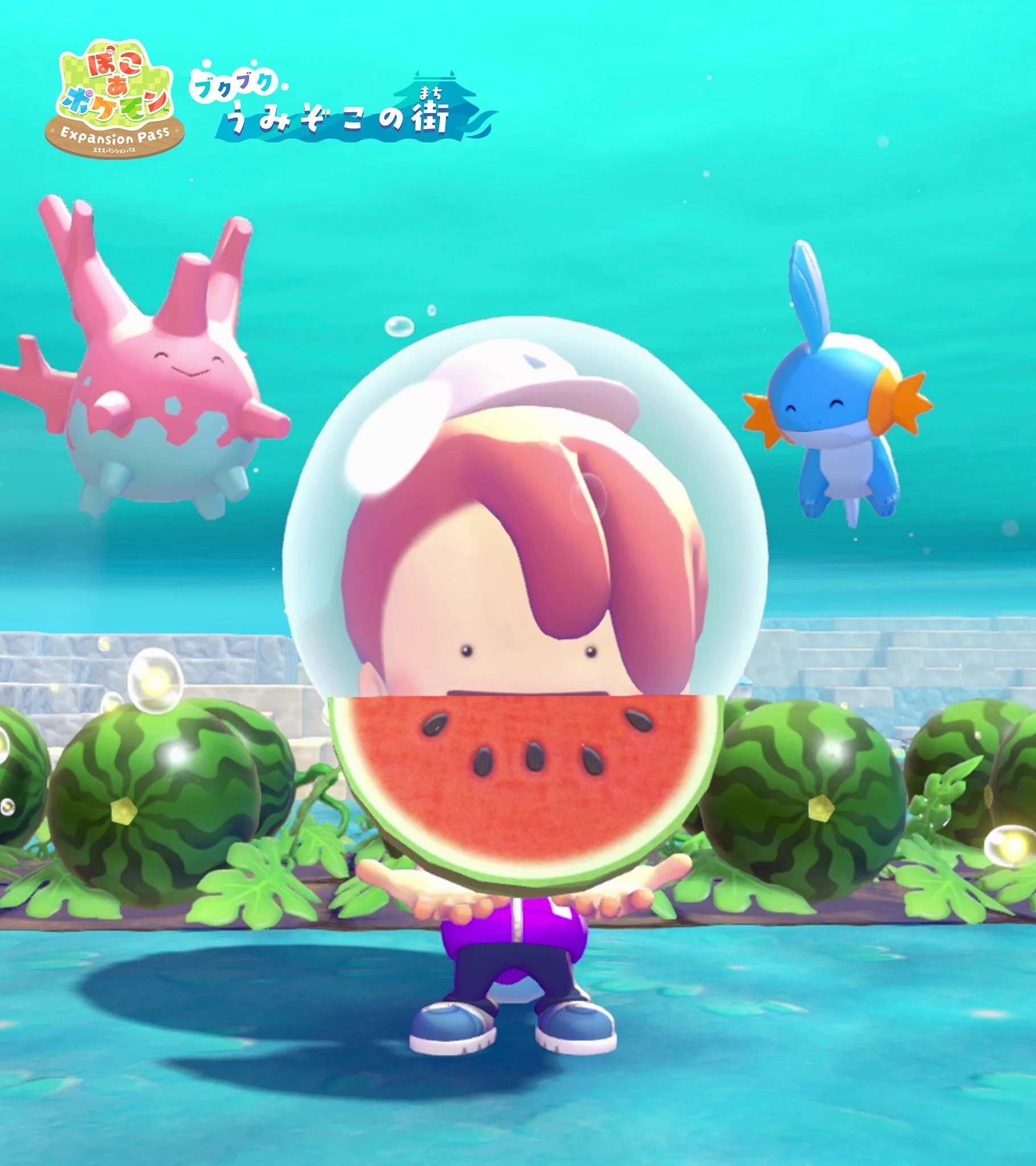 公式】ポケモン情報局 auf X: „˗ˏˋ 新たなたべもの スイカ ˎˊ˗ 🫧苗を