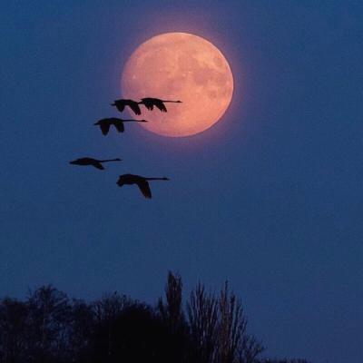 arangoxo49's tweet photo. Our wounds are often the windows through which light enters the soul.   🌺 🌂 💰 https://t.co/x98FC59VNf