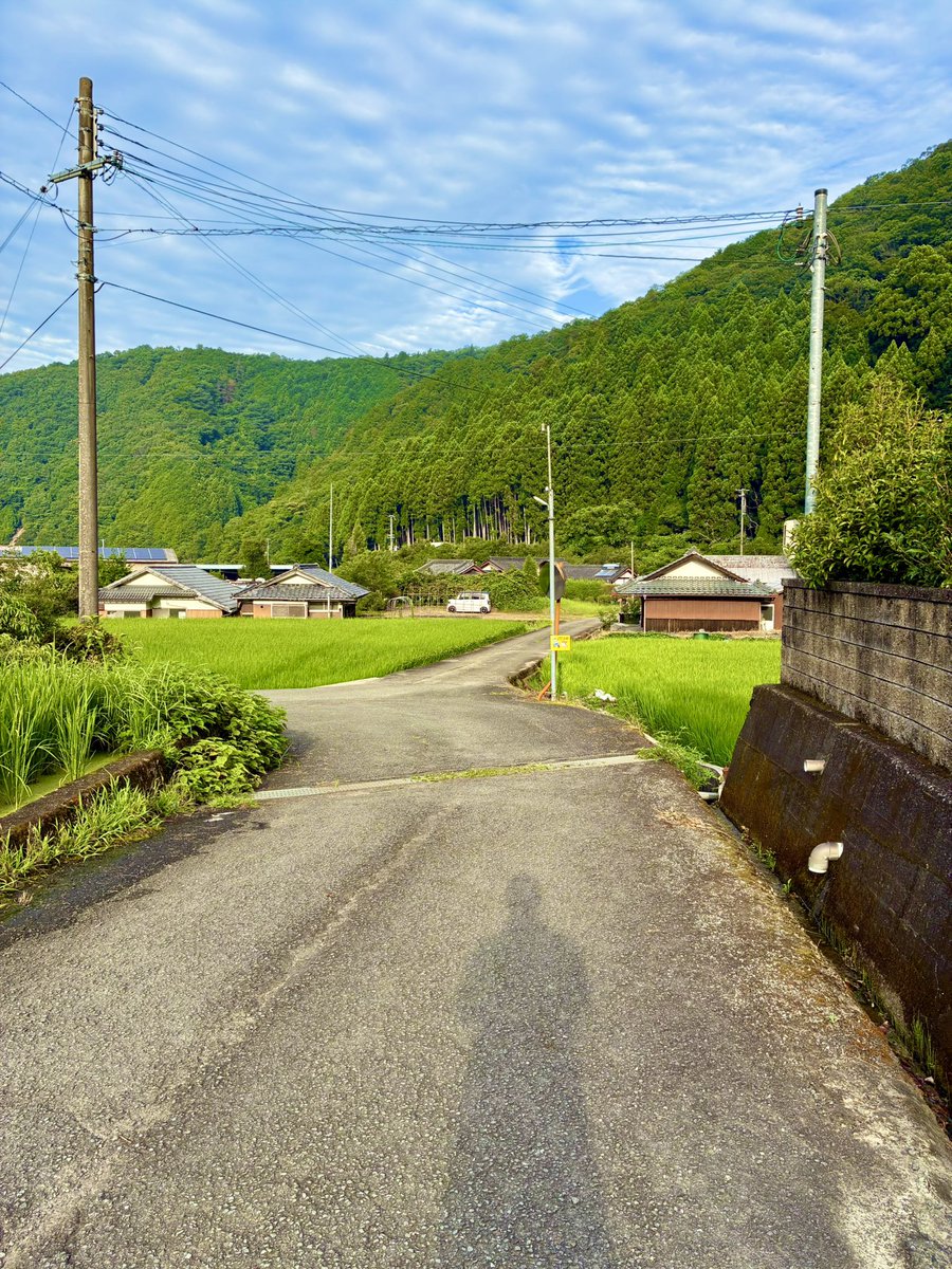 ten1ryu9k3539's tweet photo. ⭐️他のチカラをかりる能力

おはようございます。
今朝の有田川町久野原は晴れ…

今朝は珍しく妻も早朝から庭に…。

我が家の神エデンの園は、気づいた人が手入れする…というルールがある。

最近、私も体調が優れず思うように手をかけてあげられないことを思うと、このぐらいのルールがちょうどいい…。

全てを1人が担うことには限界がある…。他のチカラをかりる能力を大切にしたいものです😊
＃家庭連合の日常
＃夫婦のチカラ
＃他のチカラをかりる能力
