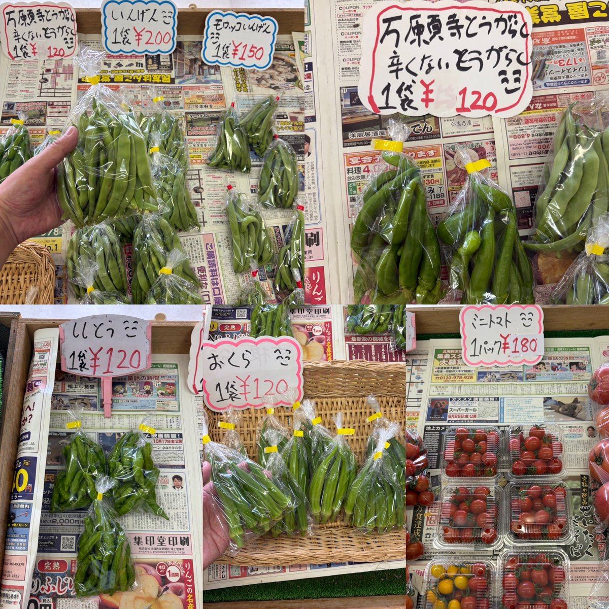 ryo4503's tweet photo. おはようございます
\( ´ω` )/🥒🧄🍅
朝10時ゆうゆう
野菜直売所開店です
商品のお問い合わせは
090-9438-1831にて
お願いします
#湧別
#野菜直売所
#野菜
#切り花
シソジュースなどに
#赤紫蘇
漬物 サラダなどに
#きゅうり
#朝採りキャベツ
#朝採りブロッコリー
#トマト
#ミニトマト
#青しそ
#長ねぎ https://t.co/Bh2akcZI91