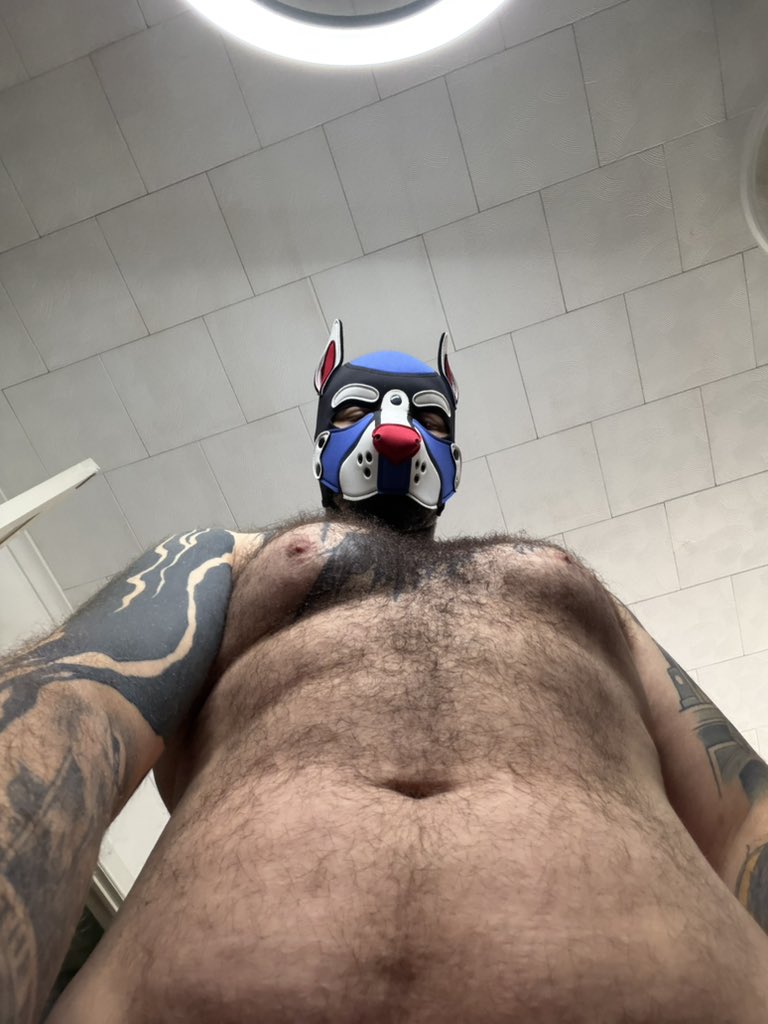 pup_cainee's tweet photo. I see why you like the angle so much pup https://t.co/WWlavshJz2