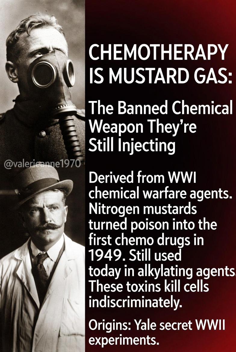 ValerieAnne1970's tweet photo. CHEMOTHERAPY IS MUSTARD GAS: The Banned Chemical Weapon They’re Still Injecting

SHOCKING TRUTH: The “treatment” they push on cancer patients is literally derived from a chemical weapon banned in 1925 for being too inhumane.

Mustard gas (sulfur mustard) was used as a horrific weapon in World War I. Doctors noticed it devastated white blood cells and lymphoid tissue in exposed soldiers. During WWII, scientists secretly weaponized this observation — developing nitrogen mustards (synthetic derivatives) as the first chemotherapy agents.

In 1942, the first human patient received intravenous nitrogen mustard for lymphoma at Yale. Tumors temporarily shrank. In 1949, mechlorethamine (Mustargen) became the first FDA-approved chemotherapy drug. It is a direct descendant of banned chemical warfare agents.

Today, nitrogen mustard-based drugs (and the entire class of alkylating agents they inspired) are still used — cyclophosphamide, chlorambucil, melphalan, and others — even as the original forms proved extremely toxic.

These are poisons designed to kill rapidly dividing cells. They don’t discriminate between cancer cells and healthy ones (bone marrow, hair follicles, gut lining, immune system). That’s why side effects are so brutal and why many patients (and some doctors) question the risk-benefit ratio, especially in advanced solid tumors.

The stats they downplay:
• 2004 Morgan et al. study: Cytotoxic chemotherapy contributes only ~2.3% to 5-year survival in adult cancers.
• Decades of data show ~90% failure rates for many solid tumor therapies.
• End-of-life chemo in advanced cases often adds toxicity with little survival gain.

The cancer industry rebranded a chemical weapon as “therapy” and built a multi-billion-dollar empire on it.

But real hope exists outside the poison paradigm.

Many are now exploring and reporting success putting cancer into remission with these protocols:
✅ Ivermectin (often with mebendazole/fenbendazole) — repurposed antiparasitics with growing real-world and research data on anti-tumor effects
✅ High-dose Intravenous Vitamin C — oxidative stress on cancer cells; recent trials show doubled survival in advanced cancers
✅ B17 / Laetrile (Amygdalin from apricot kernels) — traditional metabolic approach used for decades
✅ Ketogenic diet + prolonged fasting — starves cancer cells of glucose while supporting healthy metabolism
✅ Artemisinin / Artesunate — from wormwood, with promising anti-cancer research
✅ Chlorine dioxide protocols — used in alternative communities for oxidative effects
✅ DMSO — solvent and therapeutic agent that enhances delivery in integrative protocols

Plus medicinal mushrooms, metabolic therapies, and more.

Your body doesn’t need chemical warfare agents rebranded as medicine. It needs truth, real food, and targeted healing tools.

Do your own research. Question everything. The truth is out.