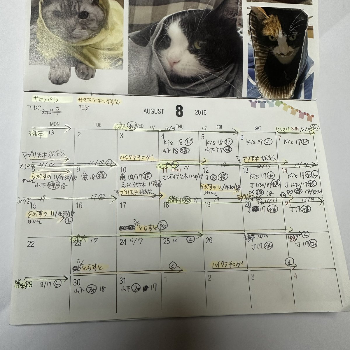 saizeriya20's tweet photo. 片付けてたら多分予想立てて予定組んでたであろうやつでてきて捨てがたくなったので撮っておいた https://t.co/tiNagcrLmt