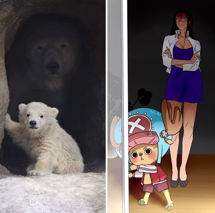 Wolfcanhunt's tweet photo. Same Same but different 😆🥹😚 https://t.co/npRKeMCsW4