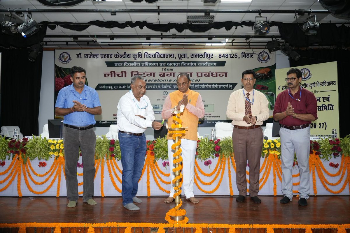 DoEE4RPCAU's tweet photo. Dr. Rajendra Prasad Central Agricultural University @Rpcau_pusa  के प्रसार शिक्षा निदेशालय द्वारा 28 जुलाई, 2026 को "लीची स्टिंक बग (Tessaratoma javanica) के प्रबंधन" विषय पर एक दिवसीय प्रशिक्षण एवं क्षमता निर्माण कार्यक्रम का सफल आयोजन विद्यापति सभागार में किया गया।
@icarindia https://t.co/Jc9ee7yZ6i