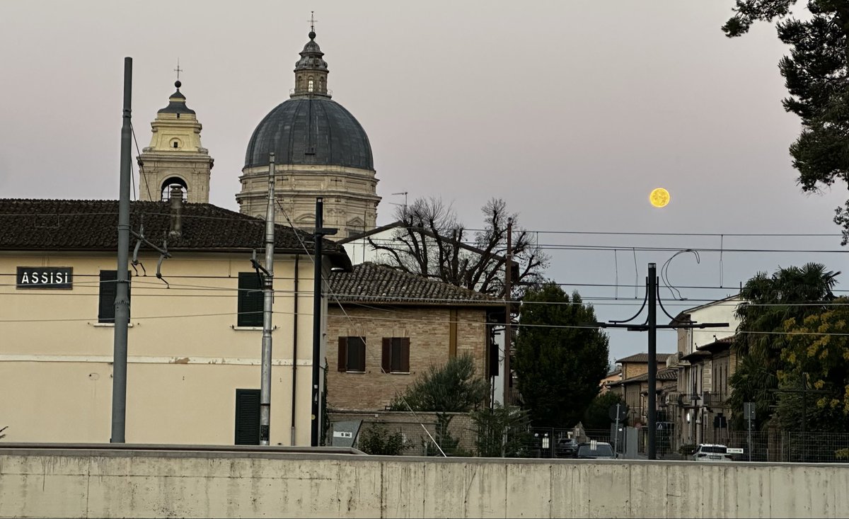 chiarab70's tweet photo. Come d’abitudine, arrivata in un posto, esco a correre
Corsetta mini che poi si cammina.
Ma sempre in coordinato
Santa Maria degli angeli proteggimi tu 🪽
#RunBabyRun🏃🏽♀️ #DiarioDiUnaSchiappa🥳#AndamentoLento🦥 #iocorroqui #MorningRunAlwaysFun🎉 https://t.co/7cMNQhFVZN