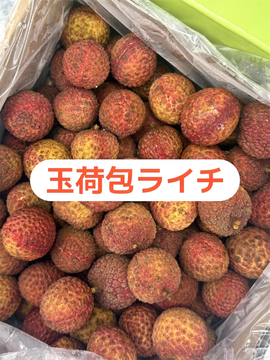 華僑 服務 社