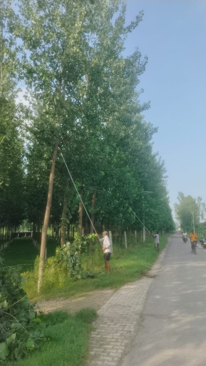 pvvnl_rampur's tweet photo. #Safety_First
#Tree_Cutting
वि.वि.खण्ड-बिलासपुर, रामपुर के अंतर्गत महापर्व श्रावण माह में #कावड़_यात्रा मार्गो में सुरक्षा की दृष्टि से विद्युत लाइनों पर आ रही टहनियों एवं पेड़ों की कटाई-छटाई का कार्य किया जा रहा है। #Helpline_1912
@aksharmaBharat
@UPPCLLKO
@MdPvvnl
@PVVNLHQ https://t.co/ZjIY9qr64u