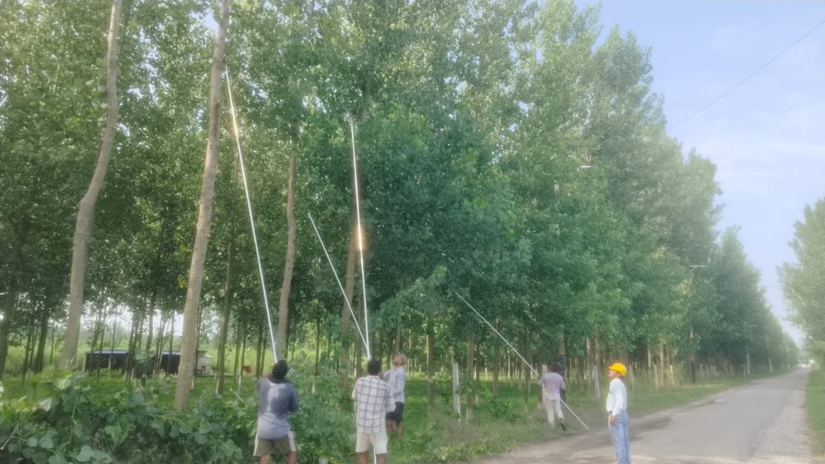 pvvnl_rampur's tweet photo. #Safety_First
#Tree_Cutting
वि.वि.खण्ड-बिलासपुर, रामपुर के अंतर्गत महापर्व श्रावण माह में #कावड़_यात्रा मार्गो में सुरक्षा की दृष्टि से विद्युत लाइनों पर आ रही टहनियों एवं पेड़ों की कटाई-छटाई का कार्य किया जा रहा है। #Helpline_1912
@aksharmaBharat
@UPPCLLKO
@MdPvvnl
@PVVNLHQ https://t.co/ZjIY9qr64u