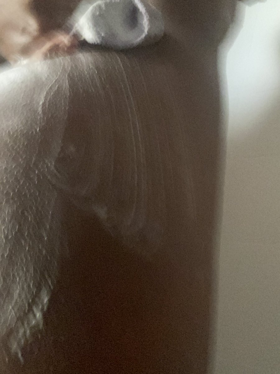 creamskj's tweet photo. lets fuck inna shower https://t.co/SKMvDPuetF