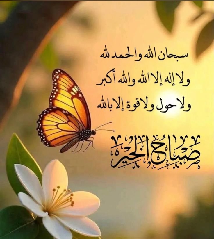 HbhAlghythy's tweet photo. 💛 https://t.co/9BCo6drVG0