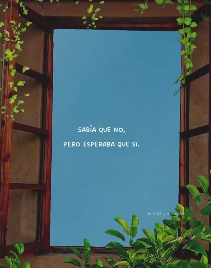 frasesfavor's tweet photo. https://t.co/AXLJQm0egP