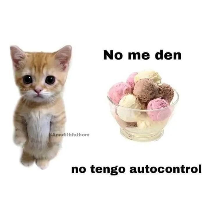 ANIMALITOSSANA's tweet photo. https://t.co/JgyVFBy6ih