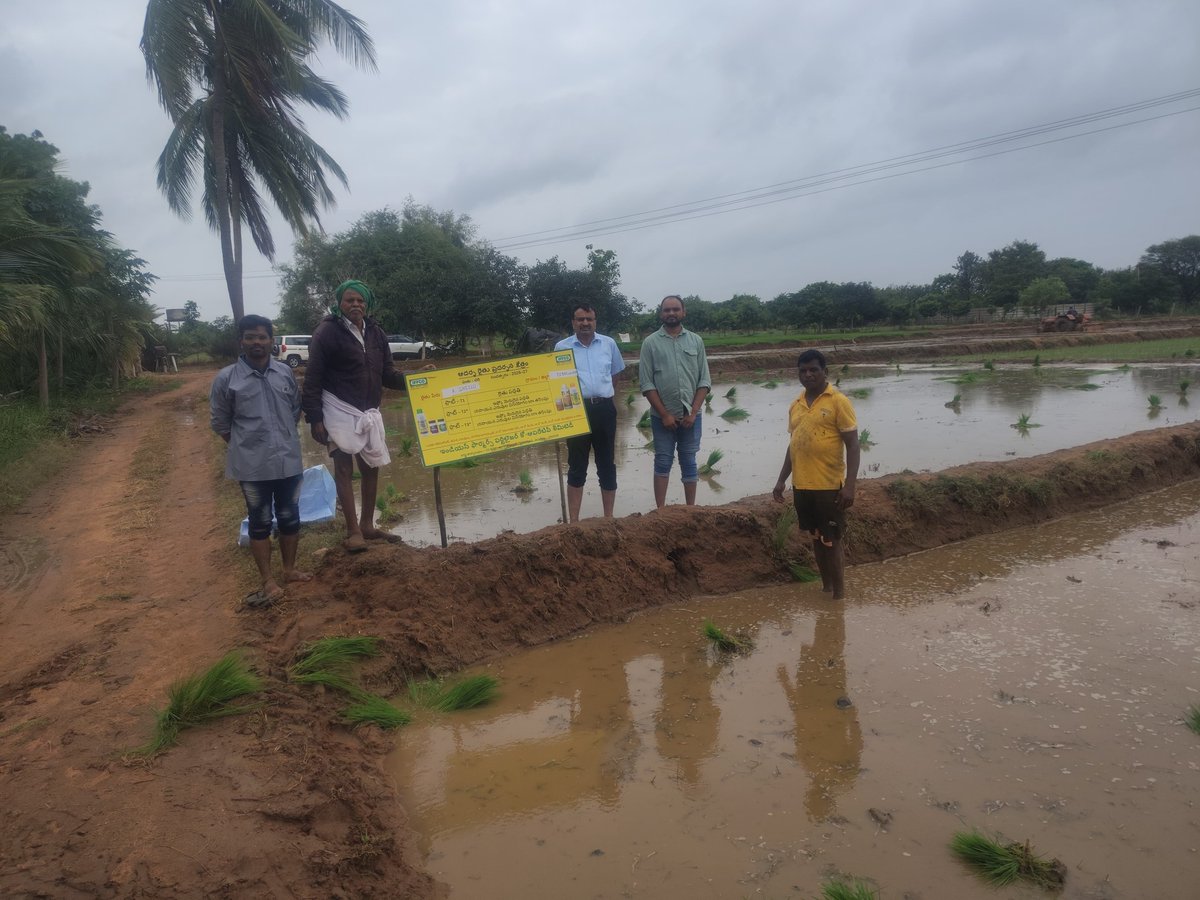 IFFCO_TS's tweet photo. Shri MR Krupashankar, SMM, IFFCO, TG visited a Progressive Farmer paddy field at Dabbilguda to review the Nano DAP root dip demonstration. Also, interacted with retailers on Usage of Nano Urea, Nano DAP, DharAmruth. @Dileep_Sanghani @KiritkrJPatel @iffcoyogendra @Dept_ofAgriTG https://t.co/2WI0PVfqot