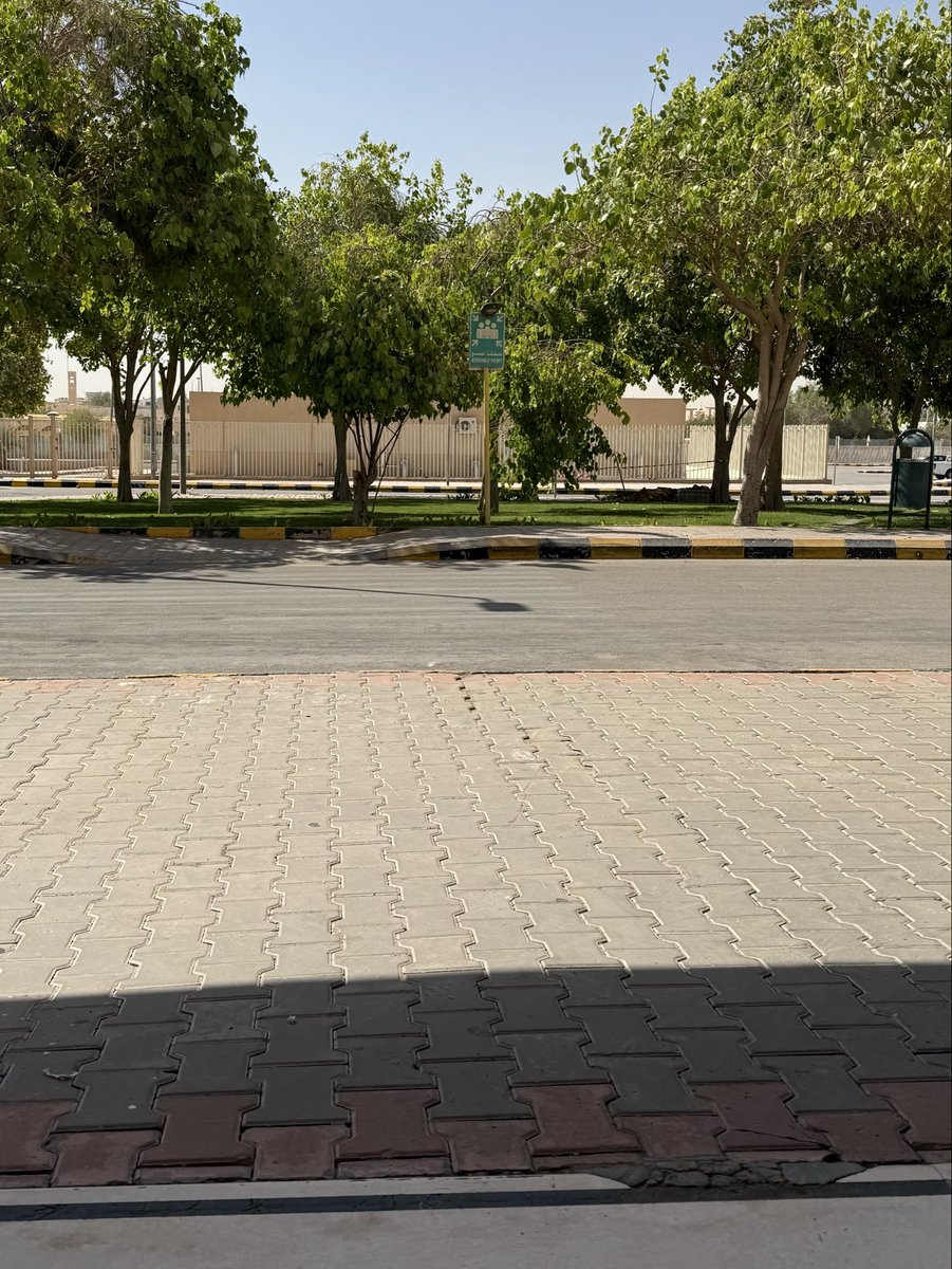 Namnothing's tweet photo. "في لحظة
طبطبة
الشجر" https://t.co/NJa1mDo5NK