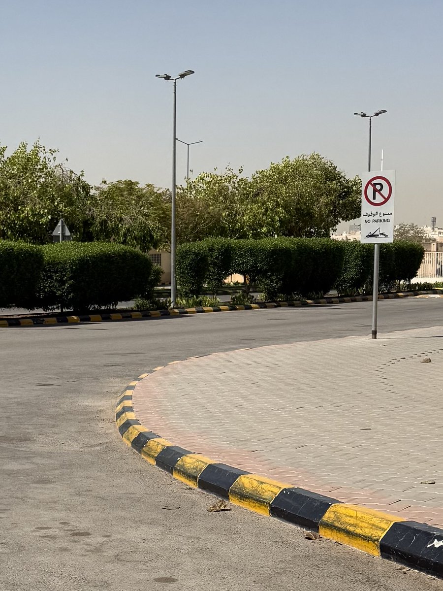 Namnothing's tweet photo. "في لحظة
طبطبة
الشجر" https://t.co/NJa1mDo5NK
