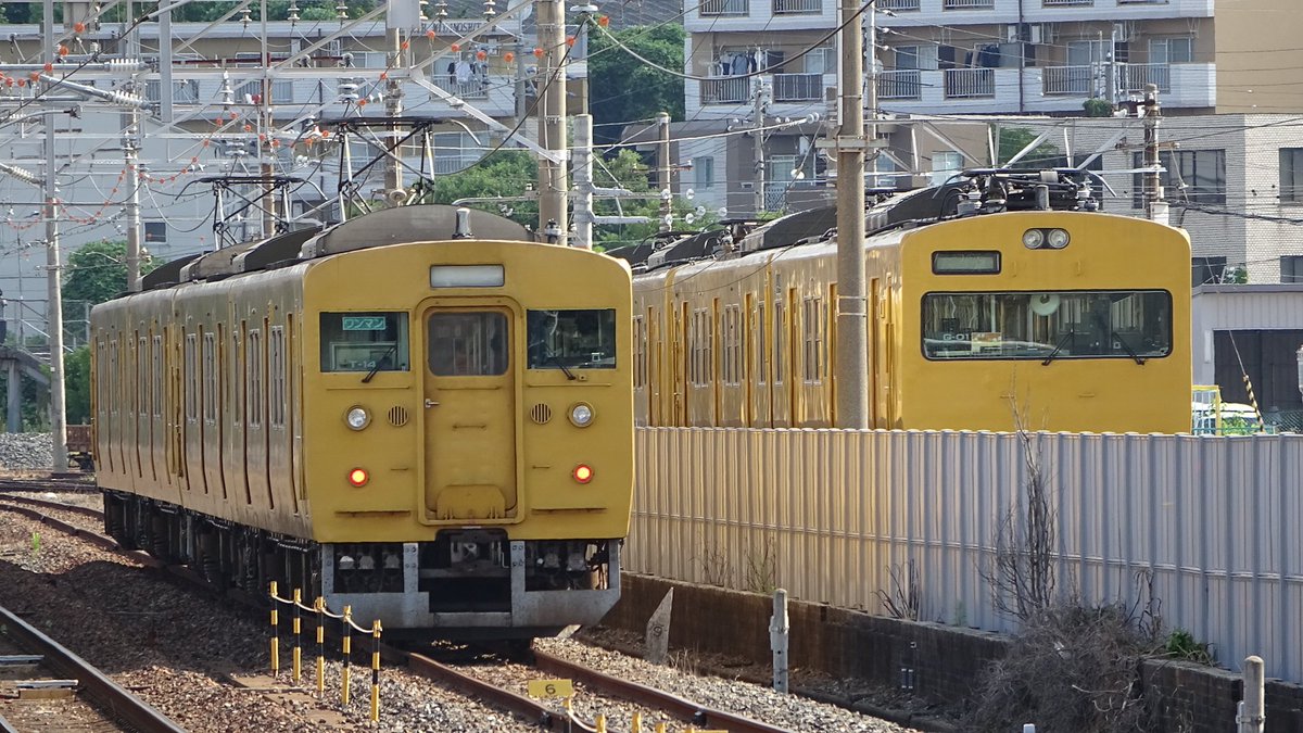 IEMON443's tweet photo. 7/30 中セキ115系T-13+T-14編成

幡生入場(廃車) https://t.co/JkgNM3casw