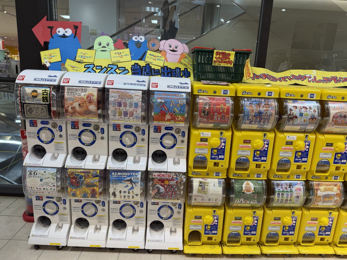 vvseibu573's tweet photo. 【入荷情報】

ガチャガチャ入荷しました❕

 #ヴィレッジヴァンガード  #西武東戸塚 https://t.co/ltOoUCYilP