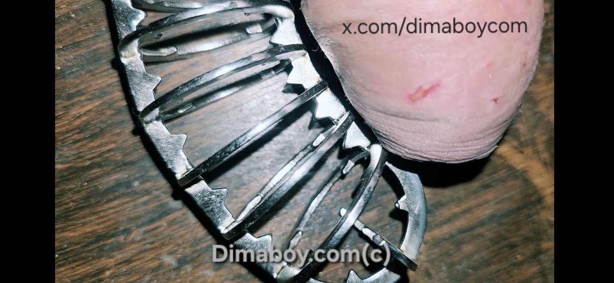 DimaBoycom's tweet photo. 🔒 Just unlocked… and already marked.
That little red kiss from the teeth of the cage.
Full uncensored film waiting for you 👇
https://t.co/UyUiiyooi4
#chastity #cockcage #dimaboy #bdsm https://t.co/Q84sByAdcx