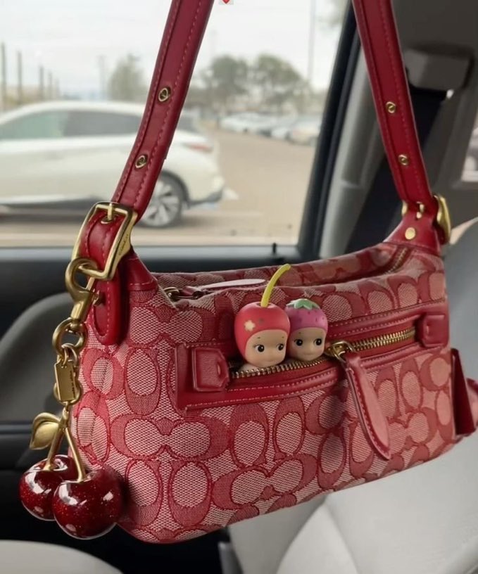 _rusticdaydream's tweet photo. pretty cherry bags https://t.co/0AFsIe5XTK