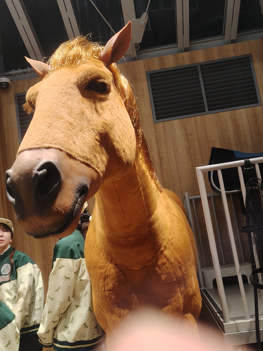72me93n's tweet photo. ロボの馬可愛かった https://t.co/VWcnYyvU3l