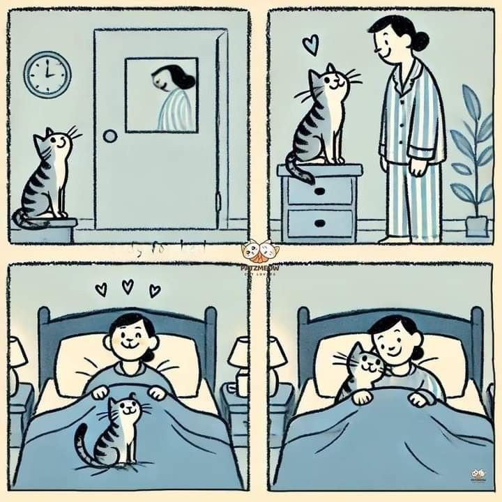 Thepetsonly's tweet photo. https://t.co/EzeTGV4P36