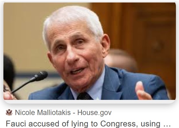 PGtzsche1's tweet photo. More about Antony Fauci’s many lies about Covid-19, now revealed in his own diary. See article by Paul Thacker in the Disinformation Chronicle: https://t.co/6un2p9gRII https://t.co/qhNTdnoXEN