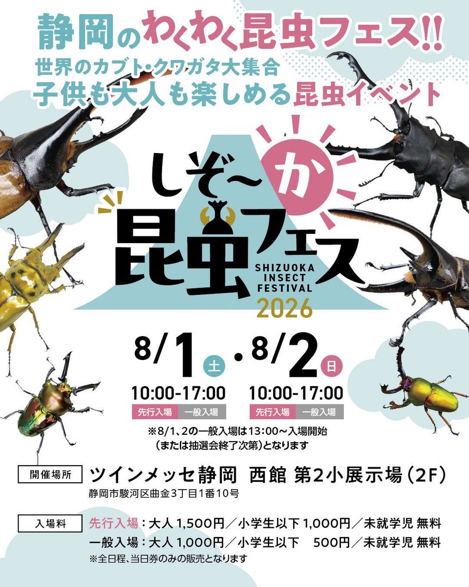 dorcus_academy's tweet photo. 【しぞ～か昆虫フェス　出店】

8/1(土)～2(日)10:00~17:00にツインメッセ静岡で開催されるイベント(ちいさなクワガタ屋様 主催)に昨年に続き、両日出店させて頂きます。

dorcus-academyブースは以下3卓になります。

①ブリード生体
・ウエストウッディ原名DV産 WF2幼虫
・アクベシアヌスミヤマ103mm♂単、103同腹♂単複数
・タイリクコーカサス大型3ペア
(120UP複数含)
・タランドゥスオオツヤ大型10ペア以上(92UP複数含)
・レギウスオオツヤ大型10ペア以上
(80後半・超ストレート複数含)
・ババオウゴンオニ大型3ペア、♂単
(70後半複数含)
・雌雄モザイク・フローレスギラファ
・国産オオクワ大型20ペア以上
(80後半複数含)
・ドウイロクワガタ3ペア
(大型ブルー複数含)
・ニジイロ紫紺xピカール種クラス6ペア
・グランディスヒナカブト2ペア
・タランドゥス、レギウス、ババオウゴンオニ幼虫
・ヨツボシヒナカブト幼虫

②豪華生体が当たるガラポン
(1日目:全120口、2日目:全80口)
ラストワン賞:ヘラクレス成虫ペア
1等:ヘラクレス成虫ペア
2等:コーカサスオオカブト成虫♂等
3等:国産オオクワガタ成虫ペア
以下略…

③当校オリジナル用品
各種多めに在庫持参します。
(砦、襷、バクテリア液、添加剤、菌糸各種、幼虫・産卵マット各種、成虫管理用品各種、産卵木、植菌材各種、BF様ゼリー、コバエ対策・観賞用ウツボカズラ)

来場者様に喜んでいただけるようなラインナップでお待ちしております。
魅力的な他出店者様、生体ふれあいコーナー、抽選会、オークション(当校も出品します)等々とても楽しいイベントになりますので、是非遊びにいらしてください！！