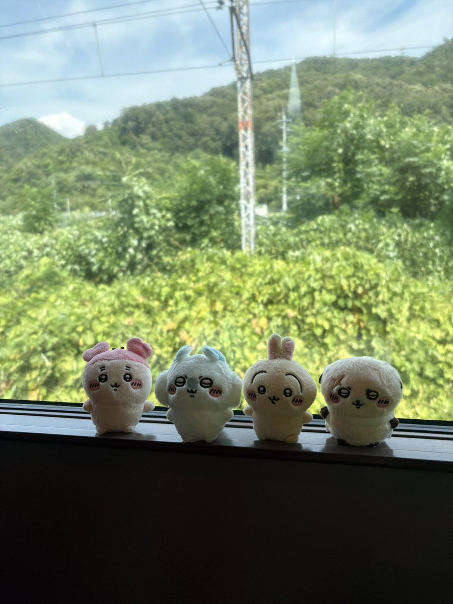 setuyakubooks's tweet photo. 帰ります🚃💨
地震の影響なのか遅延してる💦
今回はガチャ被りなしでコンプできた。
本当はハチワレのいる第一弾がしたかったらしいけど、映画みてラッコも推しになったらしい。 https://t.co/N7VdxBGTWh