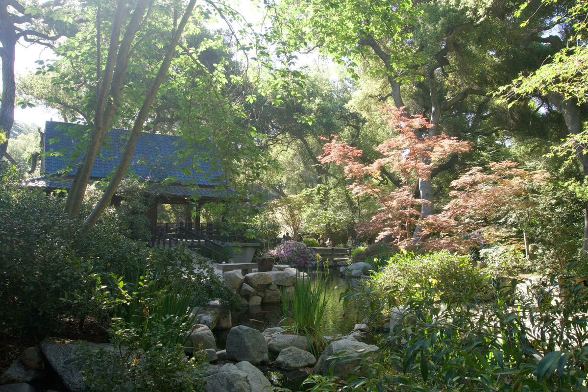 nerdyverz's tweet photo. the mixture of green and pink is so beautiful in this setting https://t.co/NqhPS0oHPH