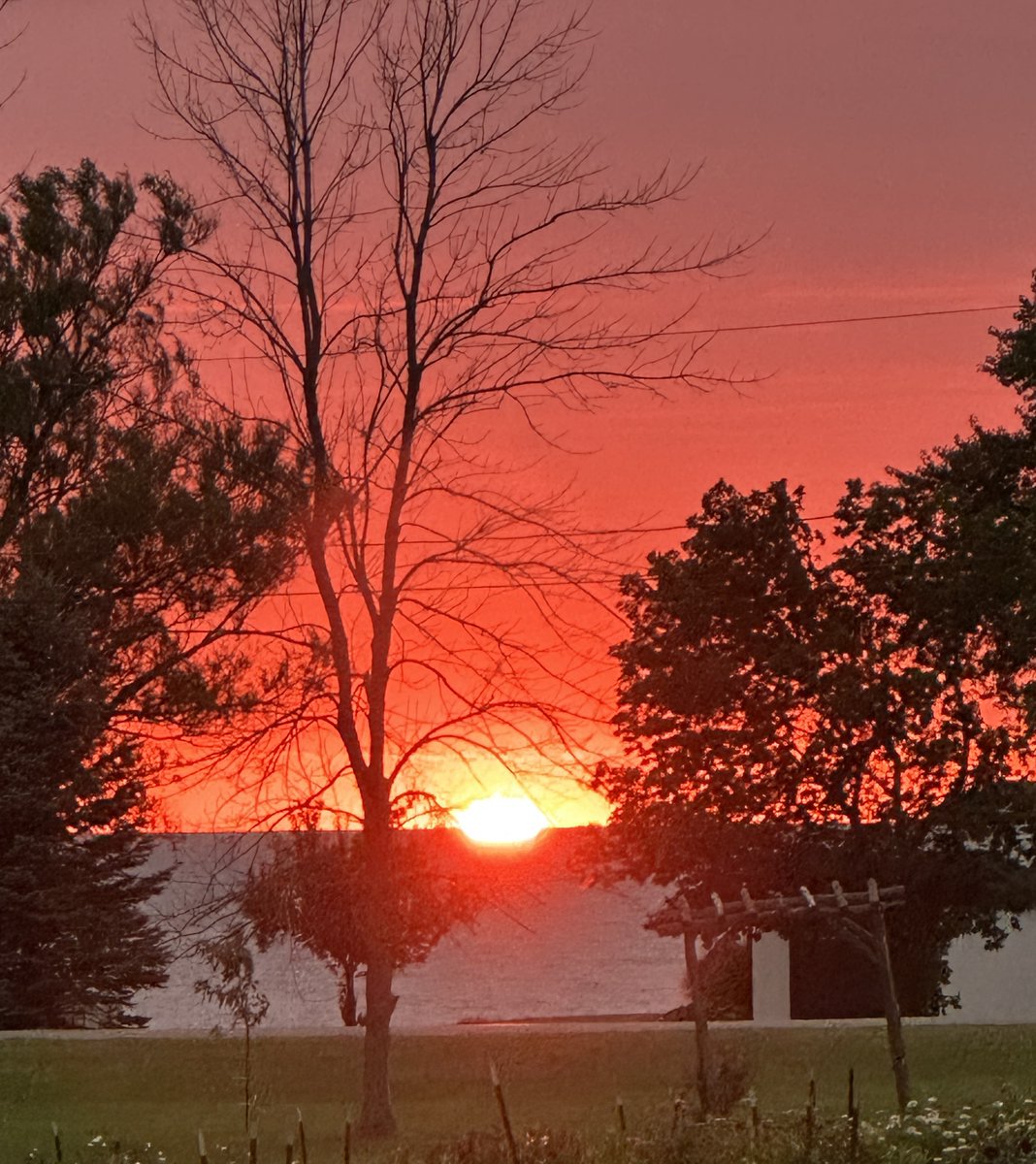 ThorpeVineyard's tweet photo. Another amazing sunset over Lake Ontario and the evening glow to follow. Good night...
#thorpevineyard #lakeontario #sunset #EveningGlow #chimneybluffsstatepark #WayneCountyNY https://t.co/sdO1GnlRkx