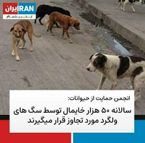 MehradAA's tweet photo. @AmirMiresmaeili @justchangingun نگرانشم 
بره واکسن سوزاک سگی بزنه😁 https://t.co/xAUwx9RLWY