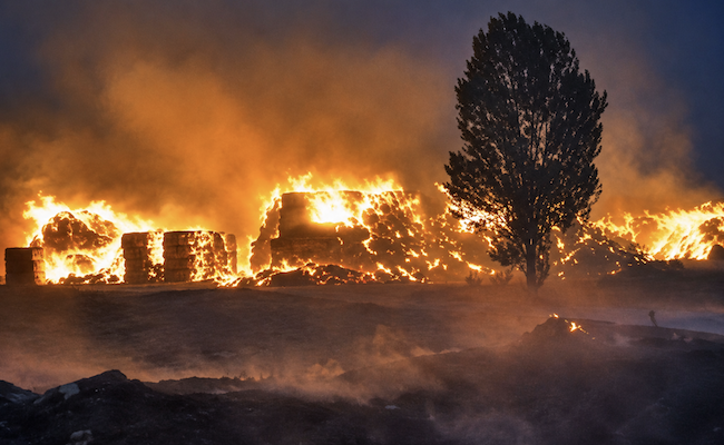 eldiadezamora's tweet photo. ÚLTIMA HORA I Se amplía a 14 las localidades evacuadas por el incendio de Fermoselle @dipuzamora  @guardiacivil @Zamora_Gob @UMEgob @CREenZamora @AT_Brif @apamcyl @zulu3villaralbo #IFFermoselle #sayago #incendiosforestales #zamora https://t.co/DwWRcpYCph https://t.co/trMnO4dvnA