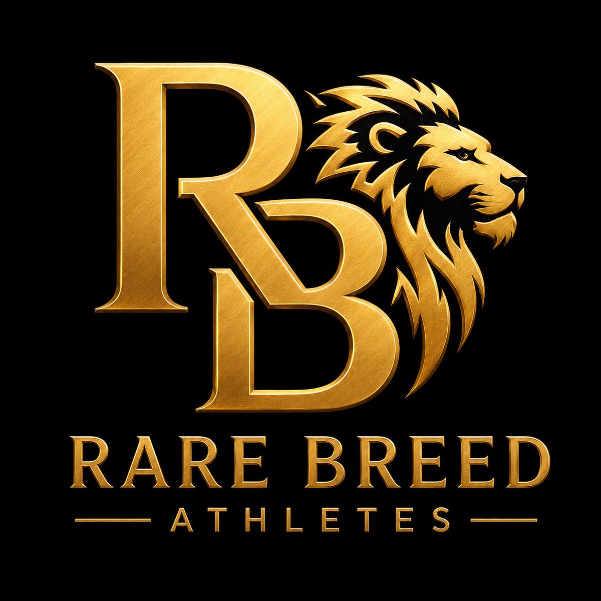 THarrisMillions's tweet photo. Brick by Brick. More 2 prove than I got 2 lose. Alpha Mindset 🦍 https://t.co/JIJg0cgek5