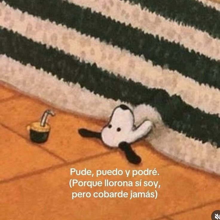 soysilencieux's tweet photo. https://t.co/UtHH8IxkG2