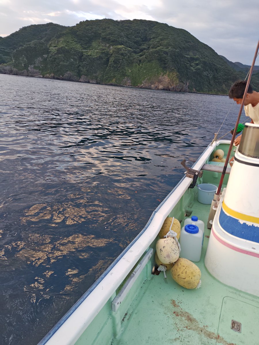 mizu1401's tweet photo. 今日は後輩の船に乗せてもらいました。
初めはカツオが釣れたので次にイサギ狙いでやりました。2時間で沢山釣れたので終了しました。 https://t.co/qpAd1IvdT8