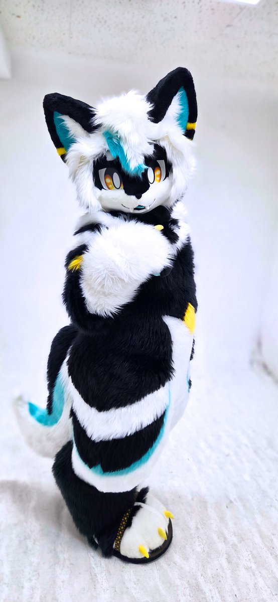 hosiyomi_nea's tweet photo. おはよ
#FursuitEveryday
#ケモノフォーカス https://t.co/gg8MFtn1mN