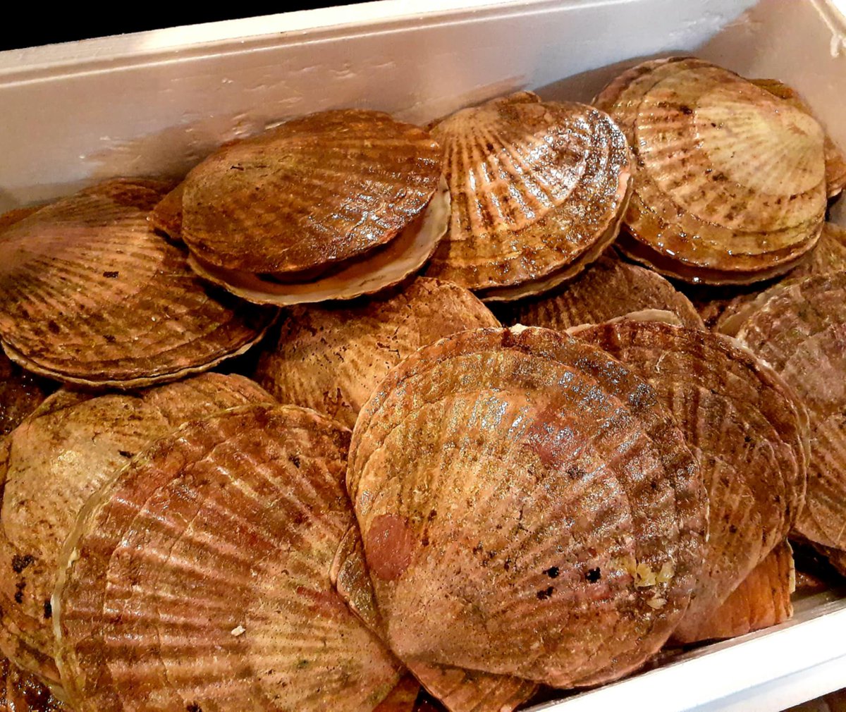 caskandstill's tweet photo. 今日からのWeekend Seafood
『北海道 さるふつ直送 ホタテ貝』
先週、アッ!という間に売り切れてしまったので今週も入荷。ごく軽く火を入れたバター焼きで丸ごと堪能…絶品!
白ワインが最高に合います!
#西川口 #BAR #川口 #鳩ケ谷 #さいたま #埼玉 #戸田 #蕨 #バー #caskandstill #ワイン https://t.co/xiRAuwA0Sz