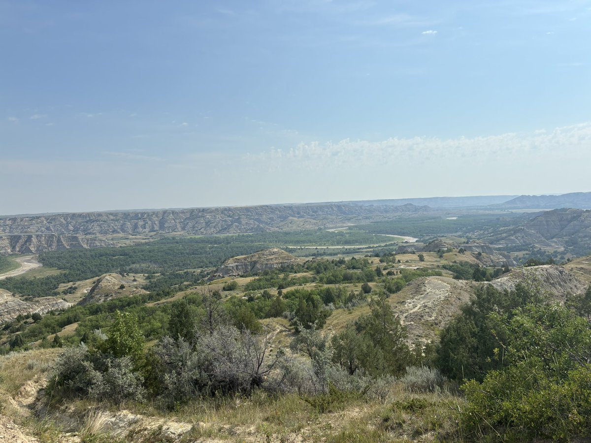 Mojo Hill tweet media