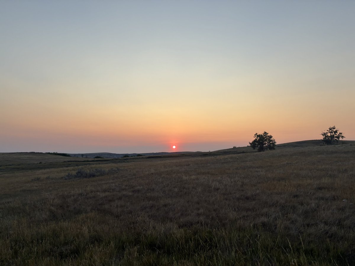 Mojo Hill tweet media