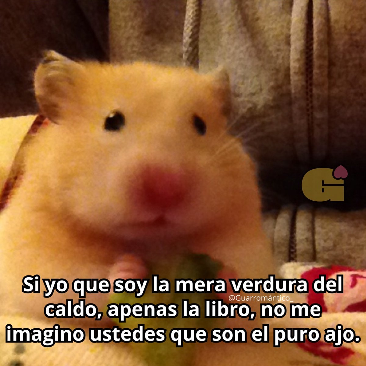 Guarromantico_'s tweet photo. La vdd. https://t.co/xTgCHhpNPl