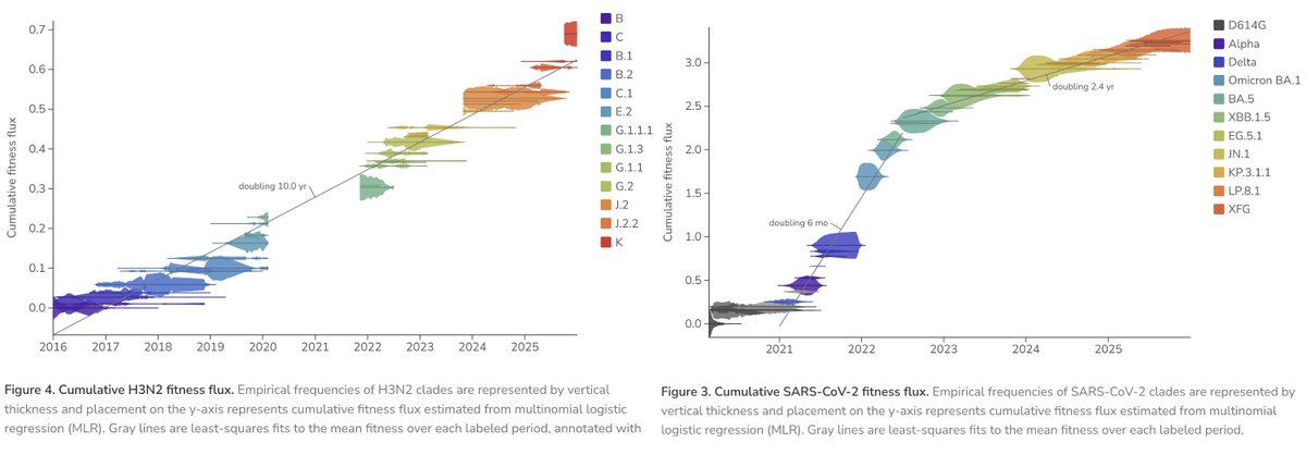 LongDesertTrain's tweet photo. Haven't seen this shared, but it's a great one by a giant in the field, Trevor Bedford. Finds that fastest SARS-2 fitness growth was 2021 to mid-2022. Since then there's been a steady rate of evolution >4x faster than H3N2 flu A, a benchmark for rapidly evolving RNA viruses.
1/2 https://t.co/rFHH6nwNQY