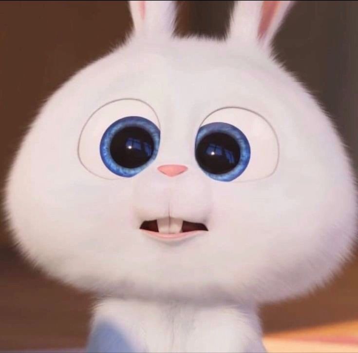 luvslinoring's tweet photo. BUNNY BOBA EYES 🥺 https://t.co/TavRMaFM2k