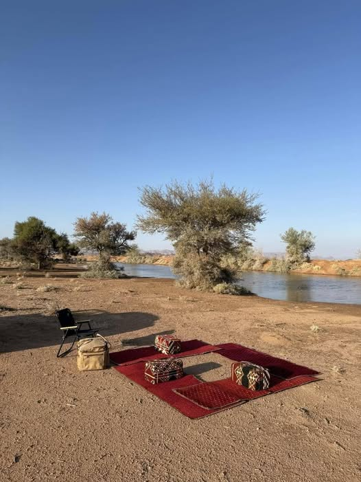 AhmAhmedou's tweet photo. Un paysage qui résume toute la beauté de la Mauritanie : eau, verdure et vastes espaces se mêlent dans un tableau naturel empreint de sérénité et d’authenticité. 💧🇲🇷 https://t.co/OoI5Q62Iyw