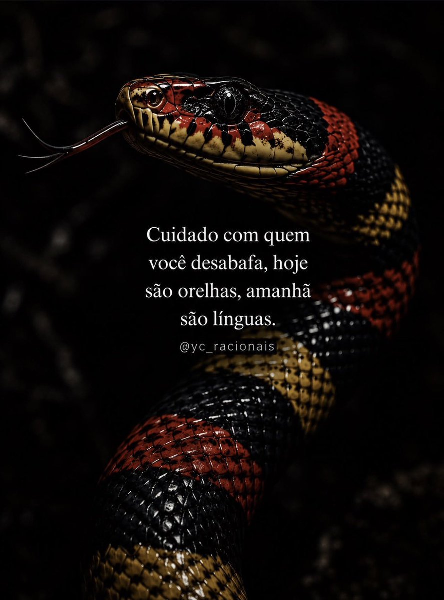 reescrevi_frase's tweet photo. https://t.co/tCCECotPOk
