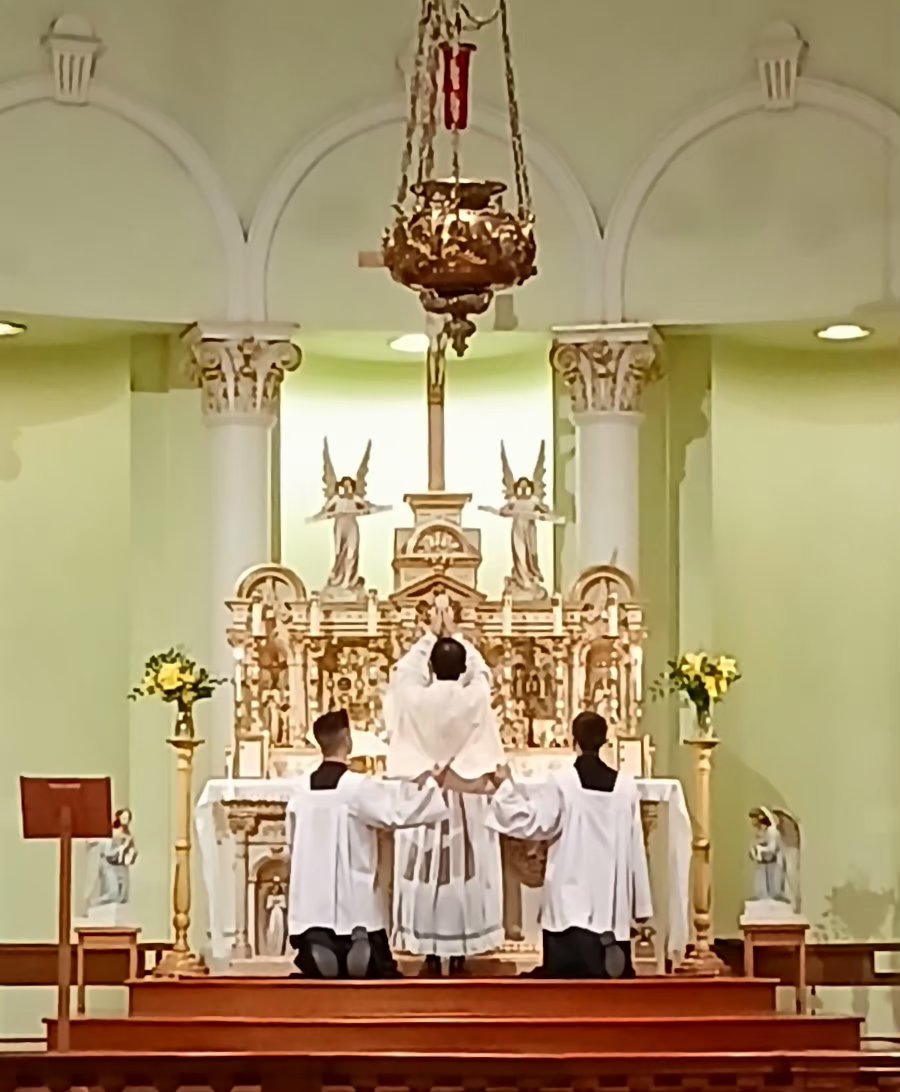 JohnZwicker1's tweet photo. Evening Mass at our #FSSP #TraditionalLatinMass parish of #StClement 

Celebrating the Feast of #StMary (TLM calendar) #StMartha &amp; #StLazarus (all three NO calendar) who, as aught we, invited Jesus into their home &amp; hearts and made Him feel welcome

🙏4U

https://t.co/JlbMU3JIFo https://t.co/YCEZzmAZTz